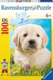 Puzzle Słodki szczeniak 100 elementów (106325)