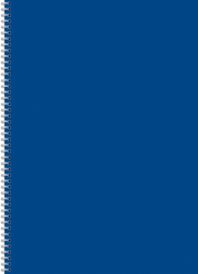 Kołozeszyt (kołobrulion) Kreska A4 96 k. czysty