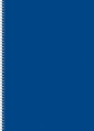 Kołozeszyt (kołobrulion) Kreska A4 96 k. czysty