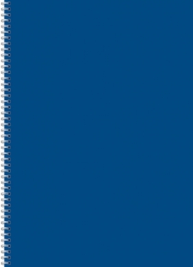 Kołozeszyt (kołobrulion) Kreska A4 96 k. czysty