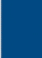 Kołozeszyt (kołobrulion) Kreska A4 96 k. czysty