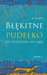 Błękitne pudełko do patrzenia na łąkę