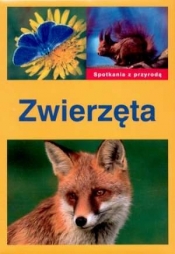 Spotkania z przyrodą Rośliny i zwierzęta - Wilfried Stichmann
