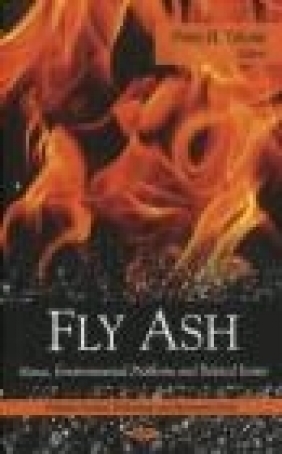 Fly Ash