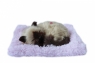 Śpiący kotek interaktywny na poduszce - brązowy (107097)