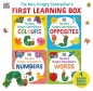 The Very Hungry Caterpillar's Early Learning Box wer. angielska - Eric Carle