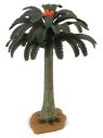  Drzewo Cycad