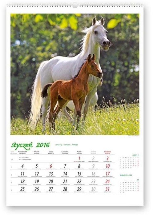 Kalendarz 2016 RW Konie w obiektywie