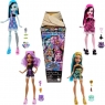 <img src='https://webimage.pl/pics/327/6/d0194735256327.jpg' width='400' height='399'> Monster High. Ukryte sekrety Lalka i akcesoria mix