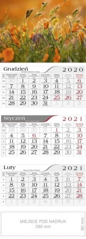 Kalendarz 2021 Trójdzielny Łąka CRUX
