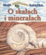 O skałach i minerałach