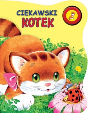 Ciekawski kotek - Urszula Kozłowska