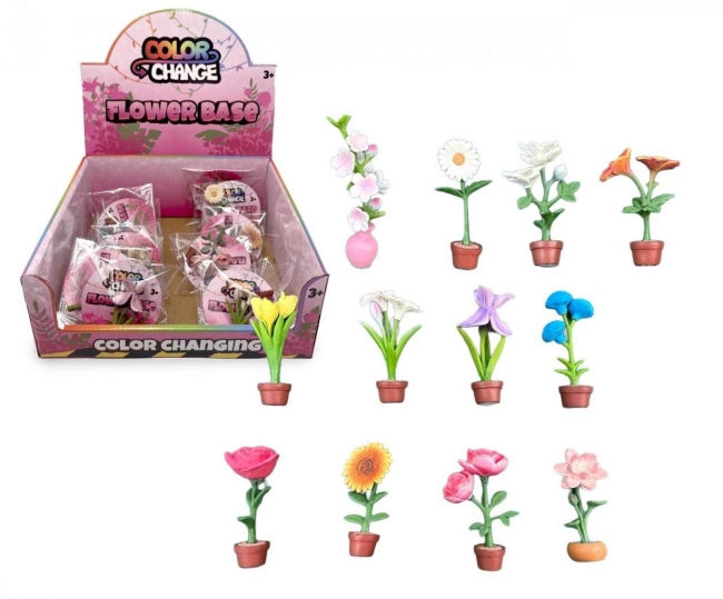 Kwiaty zmieniające kolor mix