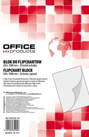 Blok do flipchartow 1000x650 20 kart kratka (20136529-14)