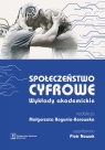 Społeczeństwo cyfrowe Wykłady akademickie
