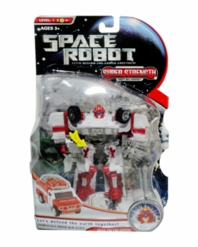 Robot