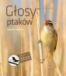 Głosy ptaków Tom 2 + CD Andrzej G. Kruszewicz