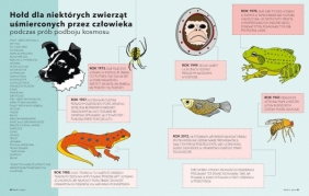 Cały świat jest cudem. Ilustrowany przewodnik po tajemnicach przyrody - Iris Gottlieb