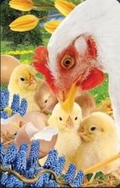 Wielkanocne kurczaczki minikartka 3D