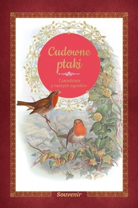 Cudowne ptaki - Guilhem Lesaffre