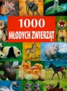 1000 młodych zwierząt  Opracowanie zbiorowe