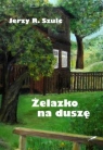  Żelazko na duszę