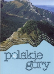 Polskie góry