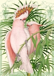 Karnet B6 z kopertą Różowe papugi