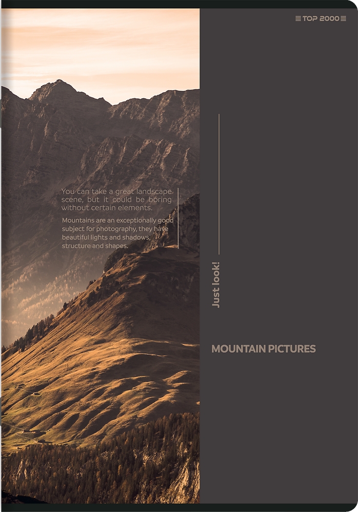 <img src='https://webimage.pl/pics/329/1/d5904017431329-4.png'>