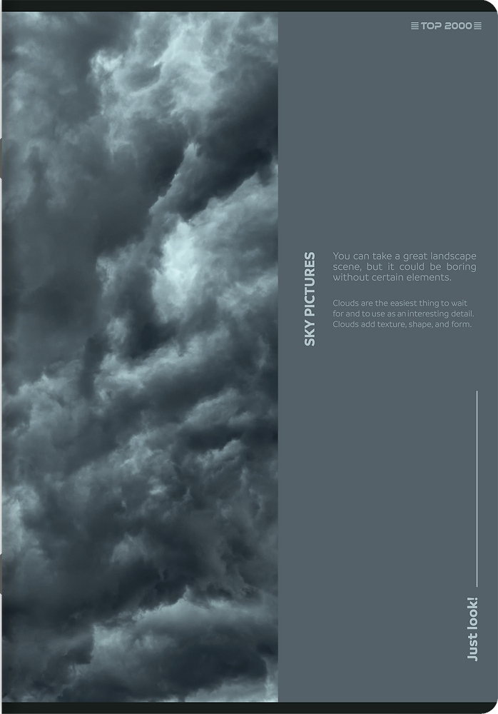 <img src='https://webimage.pl/pics/329/1/d59040174313291.png'>