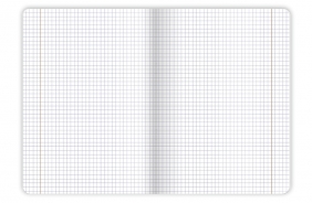 Zeszyt Top 2000 Bird's Eye A5/80k kratka z marginesem, 1 szt