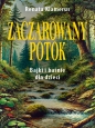 Zaczarowany potok - Renata Klamerus