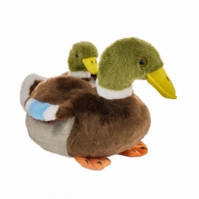 Kaczka krzyżówka z dzieckiem 20cm