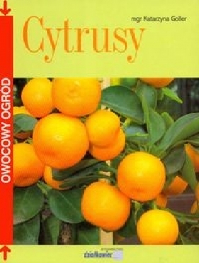 Cytrusy - Goller Katarzyna