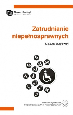 Zatrudnianie niepełnosprawnych - Brząkowski Mateusz<br />