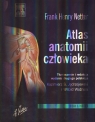 Atlas anatomii człowieka Netter Henry Frank