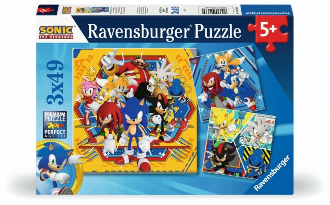 Puzzle 3x49 Sonic