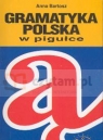 Gramatyka polska w pigułce