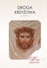 Droga krzyżowa TUM ks. M. Kiwka , Mirosław Kiwka