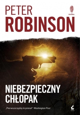 Niebezpieczny chłopak - Peter Robinson