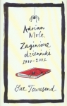 Adrian Mole Zaginione dzienniki 1999-2001 Townsend Sue