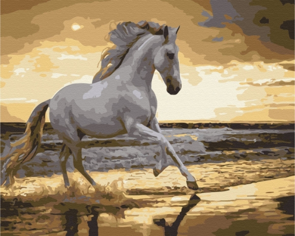 Obraz Paint it! Malowanie po numerach. Koń na wybrzeżu (BS30903)