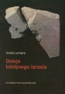 Dzieje biblijnego Izraela  Lemaire Andre