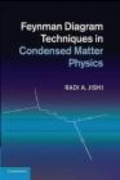 Feynman Diagram Techniques in Condensed Matter Physics