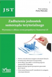 Zadłużenie jednostek samorządu terytorialnego - <br />
