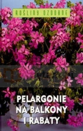 Pelargonie na balkony i rabaty - Rak Jarosław