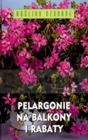 Pelargonie na balkony i rabaty