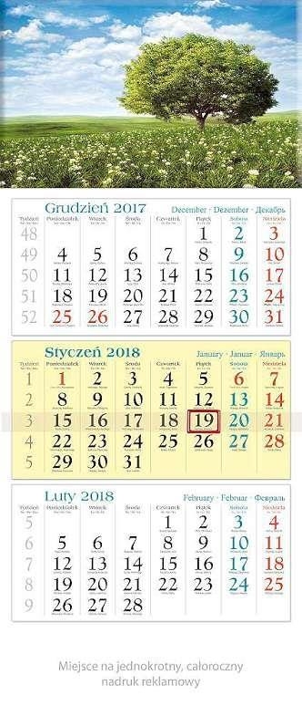 Kalendarz trójdzielny 2018 - Wiosna KT13 