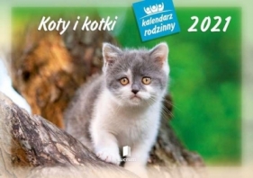 Kalendarz 2021 Rodzinny Koty i kotki WL9