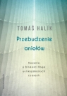 Przebudzenie aniołówKazania o bliskości Boga w niespokojnych czasach Halik Tomáš